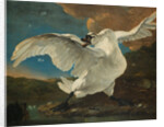 The Threatened Swan, before 1652 by Jan Asselijn