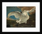 The Threatened Swan, before 1652 by Jan Asselijn