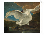 The Threatened Swan, before 1652 by Jan Asselijn