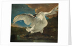The Threatened Swan, before 1652 by Jan Asselijn