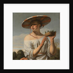 Girl with a Large Hat, 1645-1648 by Caesar Boëtius van Everdingen