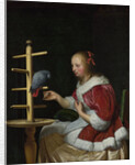 A Woman in a Red Jacket feeding a Parrot, ca 1663 by Frans van Mieris the Elder
