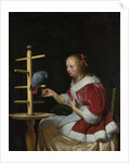 A Woman in a Red Jacket feeding a Parrot, ca 1663 by Frans van Mieris the Elder