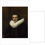 Portrait of Margaretha de Geer, Wife of Jacob Trip, 1661 by Rembrandt van Rhijn