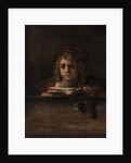 Titus at his desk, 1655 by Rembrandt van Rhijn