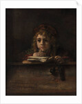 Titus at his desk, 1655 by Rembrandt van Rhijn