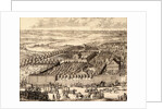 German Quarter (Nemetskaya sloboda) in Moscow (left part), 1705 by Adriaan Schoonebeek