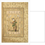 Youth Seated in the Fork of a Blossoming Tree, 1560s by Iranian master