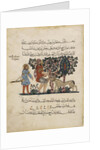 Greek physician Erasistratos with an Assistant (Folio from an Arabic translation of the Materia Medica by Dioscorides), 1224 by Central Asian Art