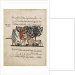 Greek physician Erasistratos with an Assistant (Folio from an Arabic translation of the Materia Medica by Dioscorides), 1224 by Central Asian Art