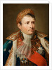 Portrait of Emperor Napoléon I Bonaparte by Andrea Appiani