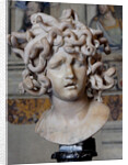 Head of Medusa, 1630 by Gianlorenzo Bernini