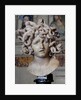 Head of Medusa, 1630 by Gianlorenzo Bernini