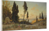 Views across the Bosphorus, Constantinople by Hermann David Salomon Corrodi