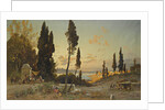 Views across the Bosphorus, Constantinople by Hermann David Salomon Corrodi