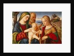 The Mystical Marriage of Saint Catherine by Francesco di Bernardo de Vecchi Santacroce