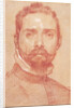 Portrait of the Lute Player Giulio Mascheroni, ca 1594 by Annibale Carracci
