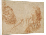 A youth and the head of an old man (Homer?). Study, ca 1521 by Andrea del Sarto
