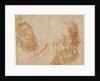 A youth and the head of an old man (Homer?). Study, ca 1521 by Andrea del Sarto