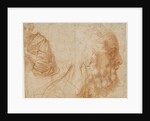 A youth and the head of an old man (Homer?). Study, ca 1521 by Andrea del Sarto