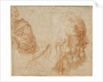A youth and the head of an old man (Homer?). Study, ca 1521 by Andrea del Sarto