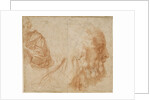 A youth and the head of an old man (Homer?). Study, ca 1521 by Andrea del Sarto