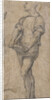 Standing youth holding a book, ca 1515 by Andrea del Sarto