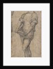Standing youth holding a book, ca 1515 by Andrea del Sarto