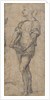 Standing youth holding a book, ca 1515 by Andrea del Sarto