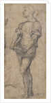 Standing youth holding a book, ca 1515 by Andrea del Sarto