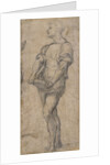 Standing youth holding a book, ca 1515 by Andrea del Sarto