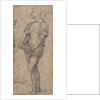 Standing youth holding a book, ca 1515 by Andrea del Sarto