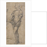 Standing youth holding a book, ca 1515 by Andrea del Sarto