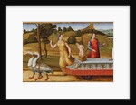 The Triumph of Chastity, c. 1500 by Anonymous