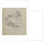Studies of an outstretched arm for the fresco The Drunkenness of Noah, c.1508 by Michelangelo Buonarroti