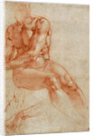 Seated Young Male Nude and Two Arm Studies by Michelangelo Buonarroti