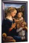 Madonna and Child with two Angels, 1460s by Fra Filippo Lippi