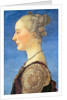 Portrait of a Young Woman, 1475 by Antonio Pollaiuolo