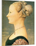 Portrait of a Woman, Second Half of the 15th cen by Piero del Pollaiuolo