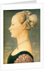Portrait of a Woman, Second Half of the 15th cen by Piero del Pollaiuolo