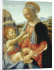 The Virgin and Child by Andrea del Verrocchio