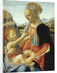 The Virgin and Child by Andrea del Verrocchio