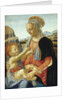 The Virgin and Child by Andrea del Verrocchio