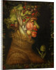 Summer, 1573 by Giuseppe Arcimboldo