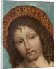 Saint Sebastian by Ambrogio Bergognone