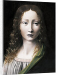 El Salvador Adolescente (The Adolescent Saviour), 1490-1495 by Giovanni Antonio Boltraffio