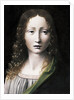 El Salvador Adolescente (The Adolescent Saviour), 1490-1495 by Giovanni Antonio Boltraffio