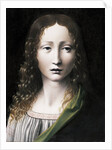 El Salvador Adolescente (The Adolescent Saviour), 1490-1495 by Giovanni Antonio Boltraffio