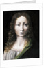 El Salvador Adolescente (The Adolescent Saviour), 1490-1495 by Giovanni Antonio Boltraffio