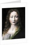 El Salvador Adolescente (The Adolescent Saviour), 1490-1495 by Giovanni Antonio Boltraffio